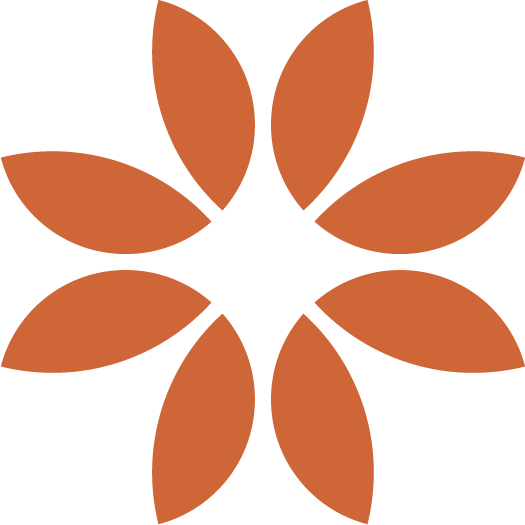 Contadores en México